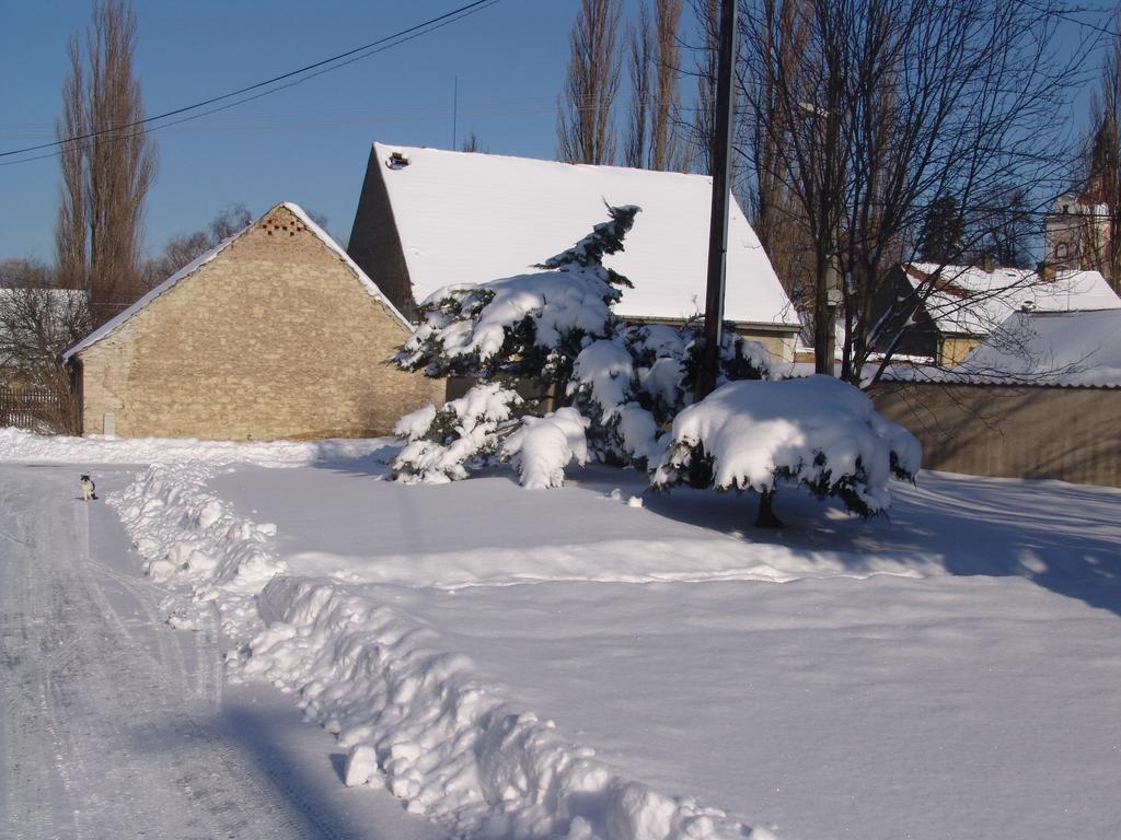 Penzion V polích Malé Číčovice Exterior foto